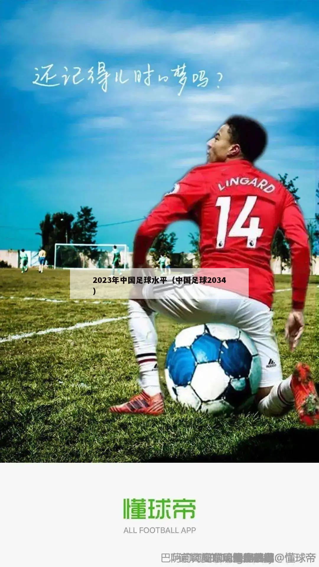 2023年中国足球水平（中国足球2034）